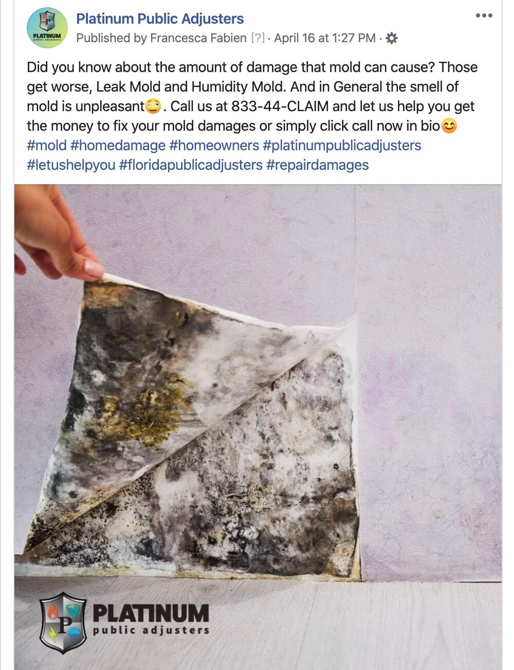 Mold Damage Content Mold Damage Content